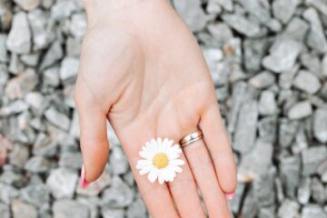 photo of person holding white flower