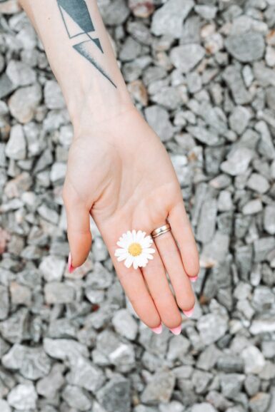 photo of person holding white flower